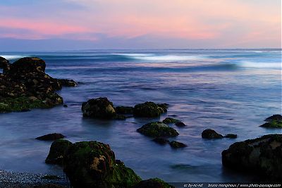 Atelier de communication animale subtile en Bretagne